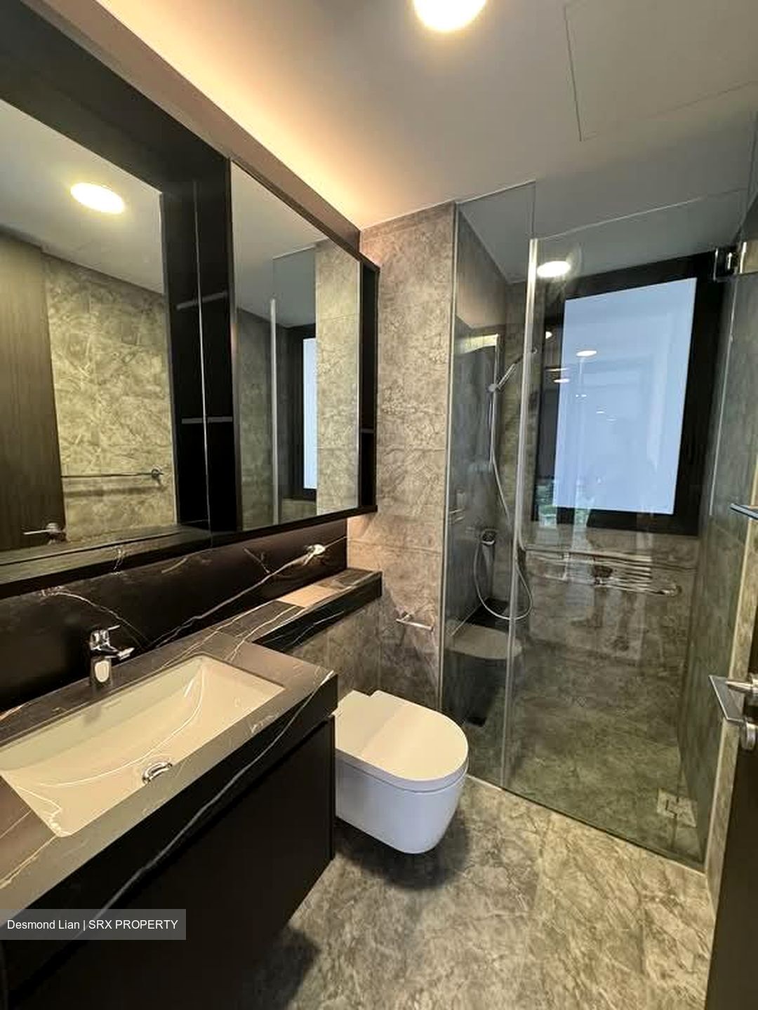 Hyll On Holland (D10), Condominium #590767511